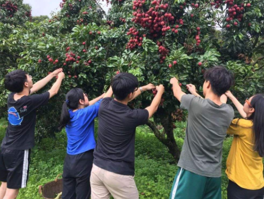 非洲引入人口_非洲饥饿儿童图片(2)
