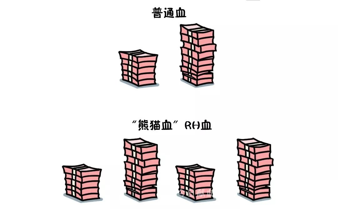 同样是血熊猫血为啥更贵