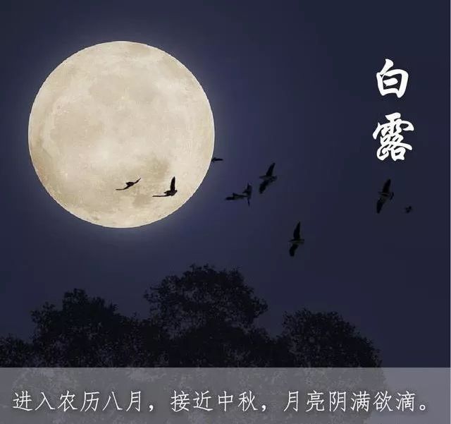 露从今夜白月是故乡明