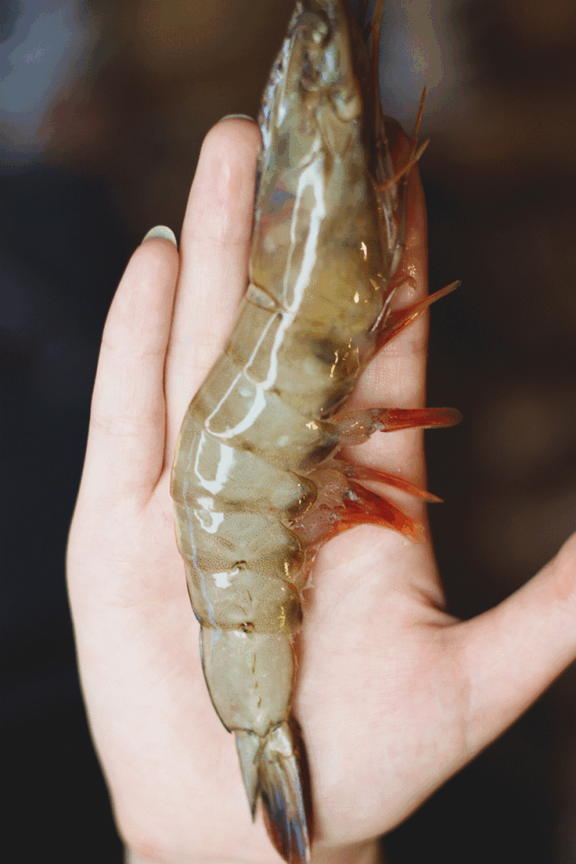 640_960 竖版 竖屏