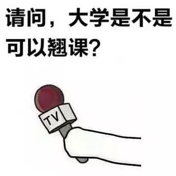 4d0e3088d487464d9586a4a6353d5ff2.jpeg