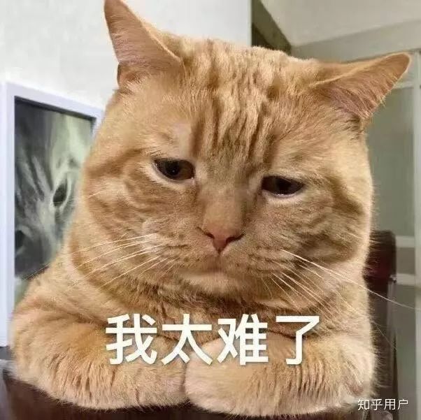 名字特别难听是什么体验?我笑崩溃了!