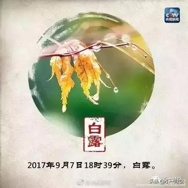 那些关于白露的古诗