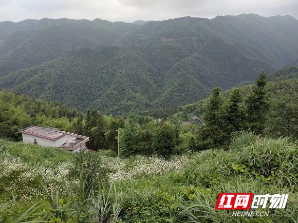 洞口县人口数量_洞口县地图