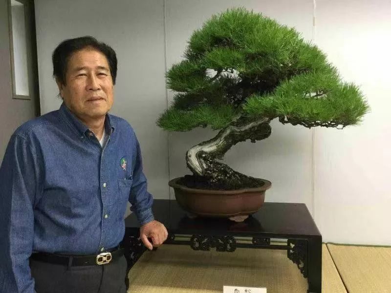 授课人员:木村正彦 授课内容:松树盆景制作 七,课堂培训开班及结业