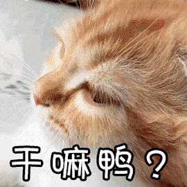57f7588cfecf440c892e4b9033012068.gif