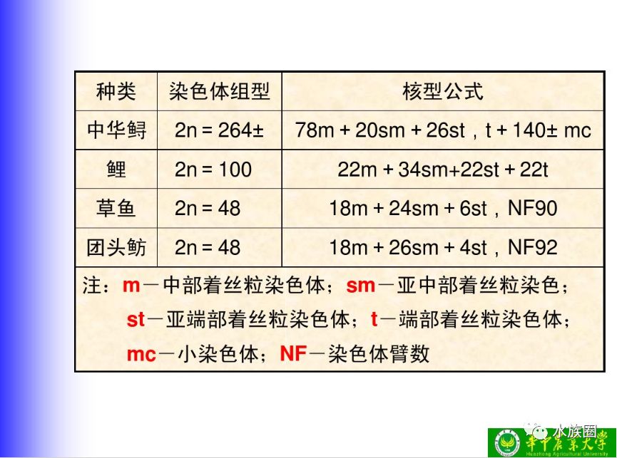 638fafe432314c3b99058a9e90d7abcc.jpeg
