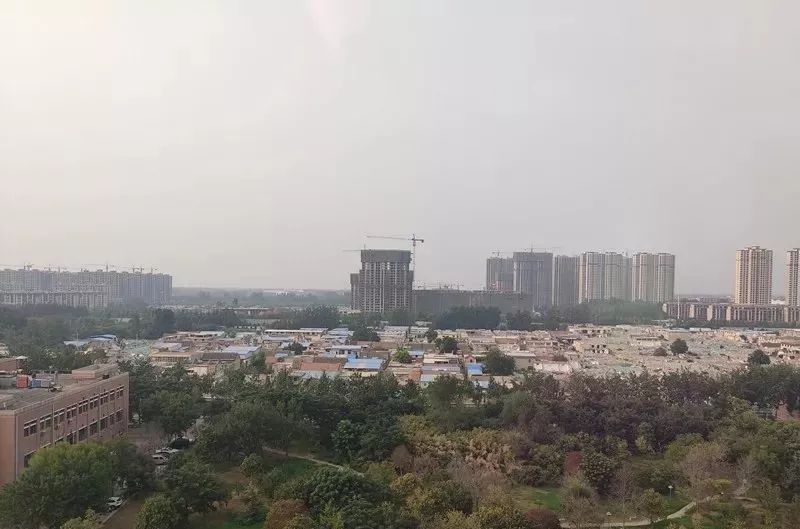 单县大学城!项目地址定了!_菏泽