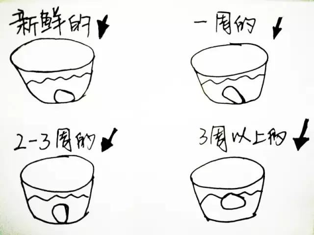 6dcc0caa5ee04c569306c97547a3f22e.jpeg