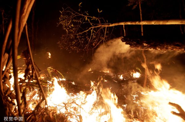 雨林大火持续不灭南美七国呼吁携手保护亚马孙