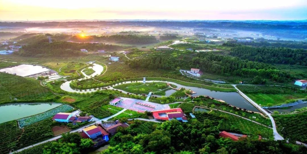 新安农业公园是江油重点打造的现代农业基地,农旅融合的典范,具备现代
