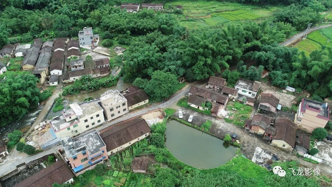 龙皇洞村主要种植优质谷,沙田柚.