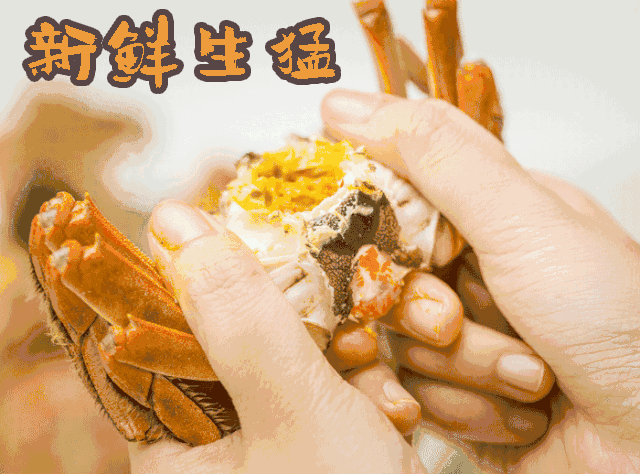 640_474gif 动态图 动图