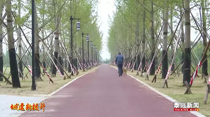 泰兴人口有多少_北流隆盛镇有多少人口