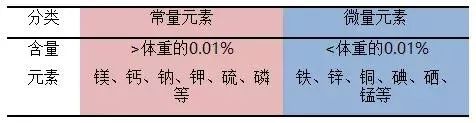                     孩子缺钙、铁、锌有哪些表现？该不该补？怎么补？