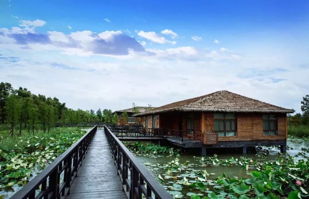 中秋玩转洪泽湖湿地,你只需要这一