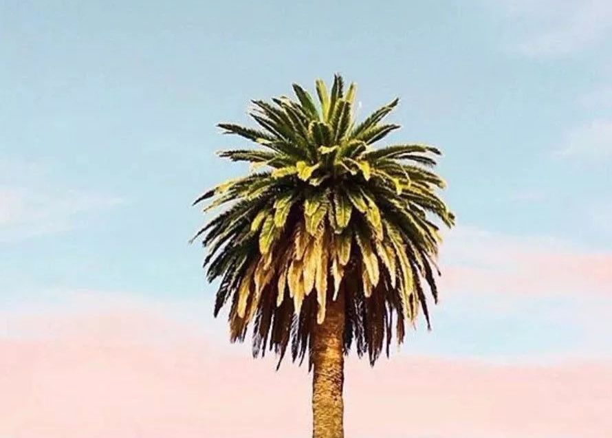 人生,太多的身不由己