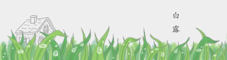原创今日白露韶华尚在来处再见不忆归途
