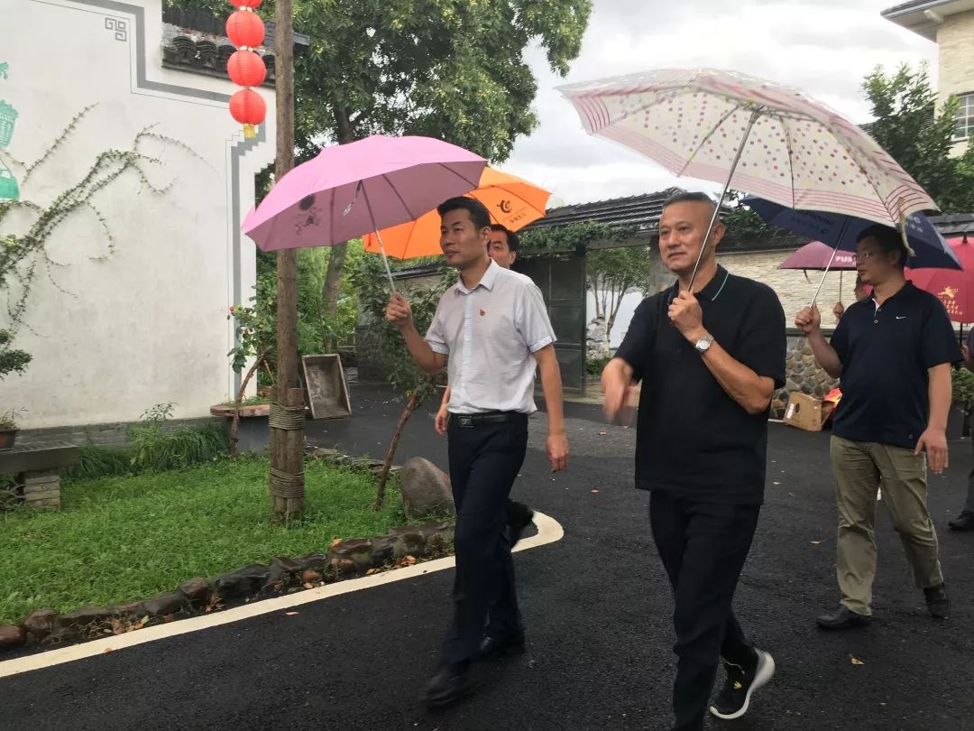 海宁市市领导吕忠飞一行来到周王庙镇云龙村对美丽乡村建设及旅游发展