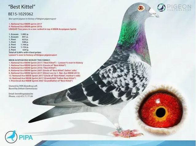 b2ea67d84a4f4461806a889003cb0167.jpeg
