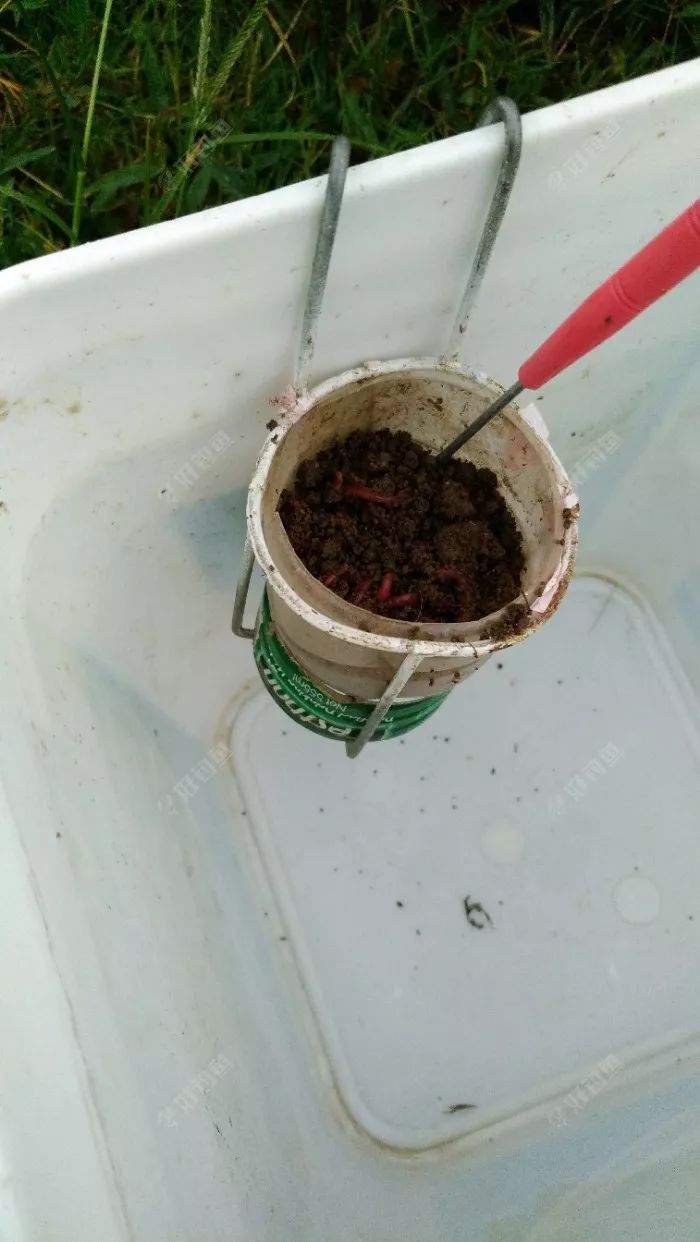 [创意diy] 分享一个很实用的传统小装备!_蚯蚓