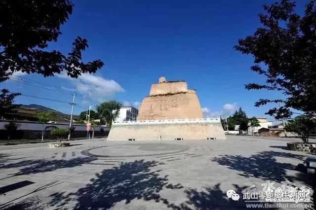 甘肃省天水市有个武山县,竟然有这么多的全国第一