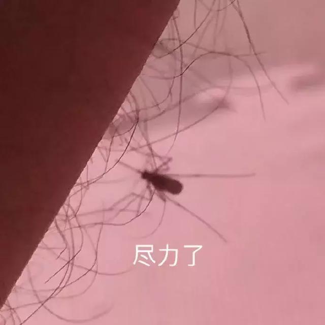d59c0abaa8264f62963e0afe01a4a1a1.jpeg