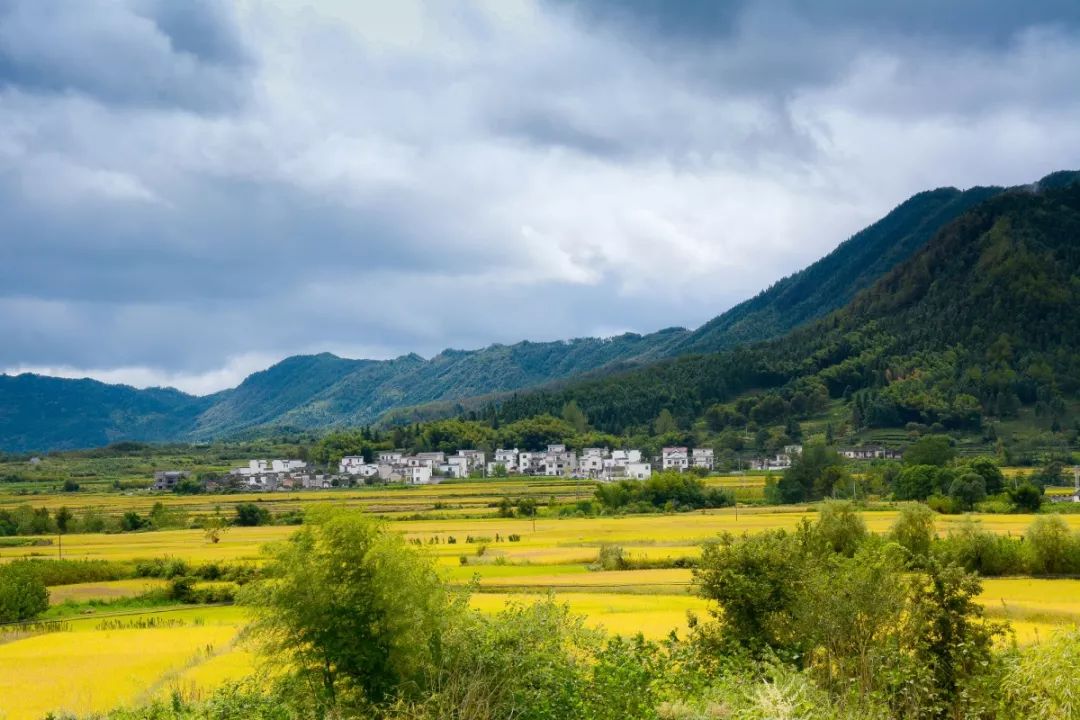 宅基地人口表_农村宅基地表(3)