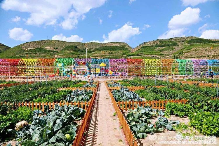 【喜讯】9月8日静宁县界石铺开心农场首届采摘节暨美食节,等您来约!