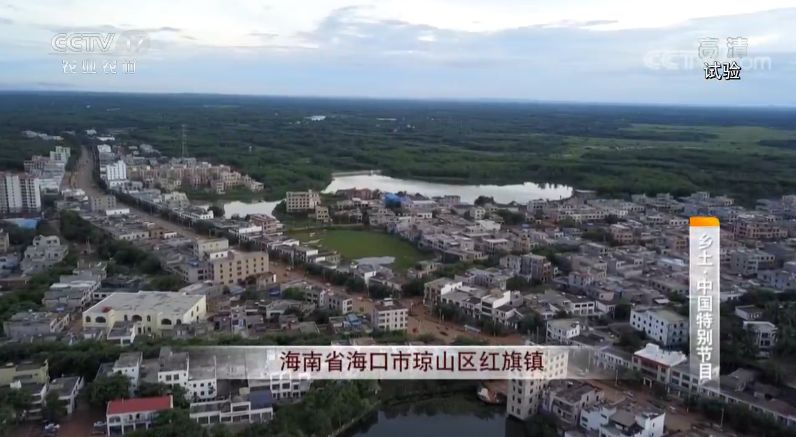海口红旗镇gdp_海口红旗镇规划图