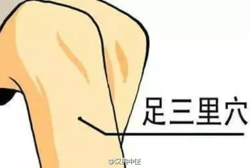 成语安常处什么_成语故事图片(3)