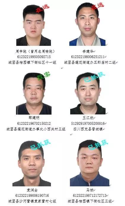 关于征集陈凯,付力军等人违法犯罪线索的通告!_城固县