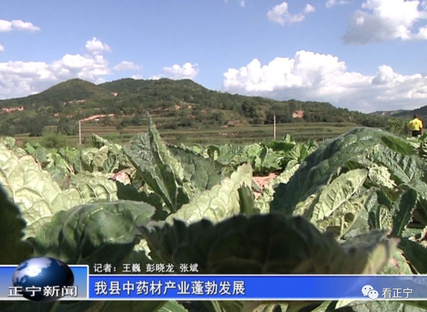 三嘉乡人口_人口普查(2)