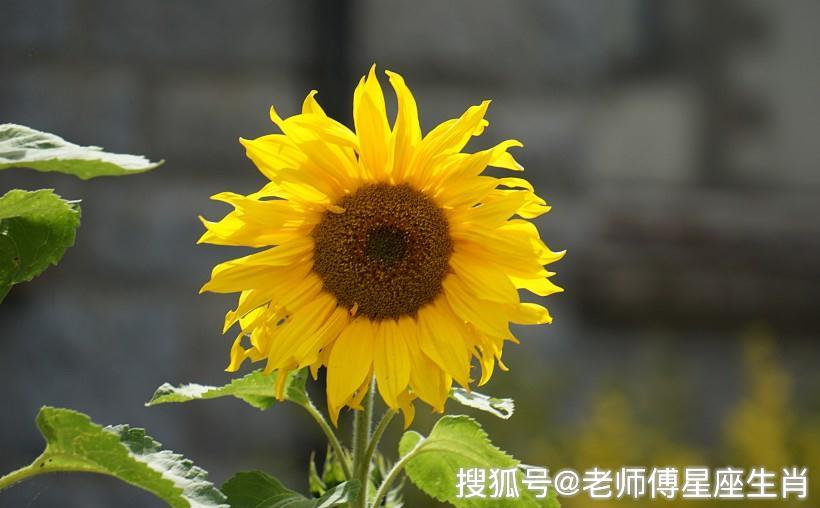 0582750c44b6487d840b6fbe3eb80c22.jpeg
