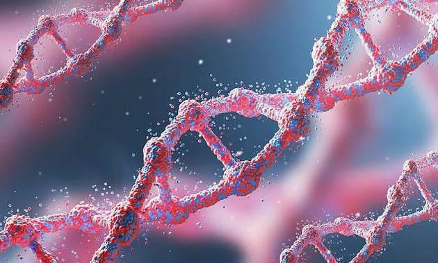 什么是基因突变导致肺癌 151db88ec7c444438b46fceac148702a.jpeg