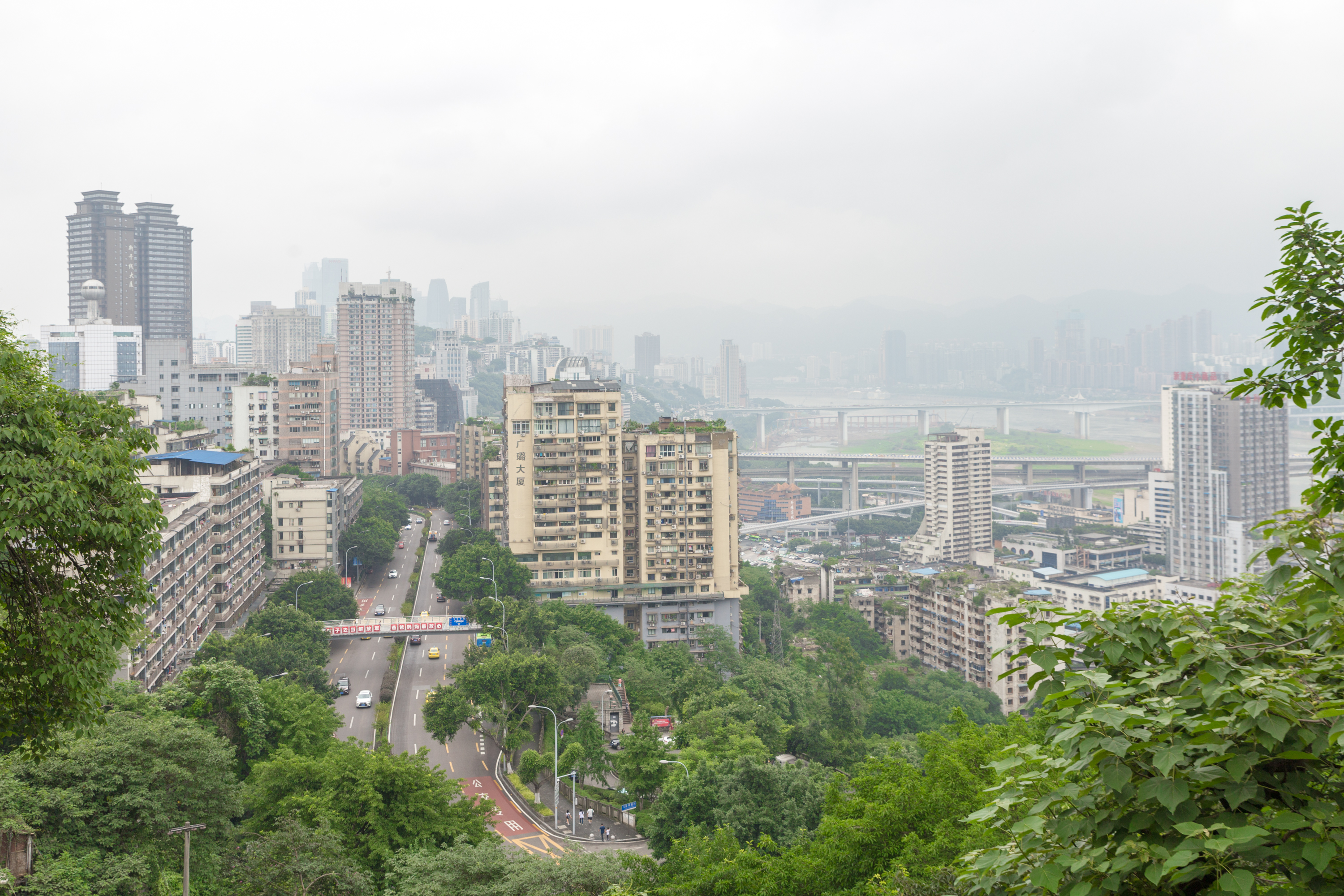 人口最多的直辖市_人口普查图片