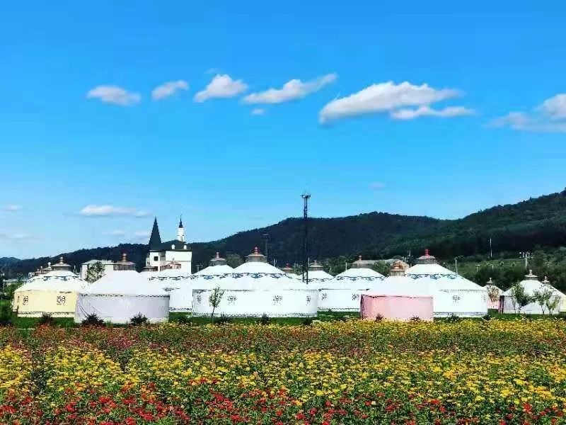 【云天社@黑龙江分社】家乡美景惹人醉 文\/图