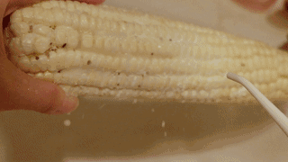 26a041a34f5545188b5b043622190657.gif