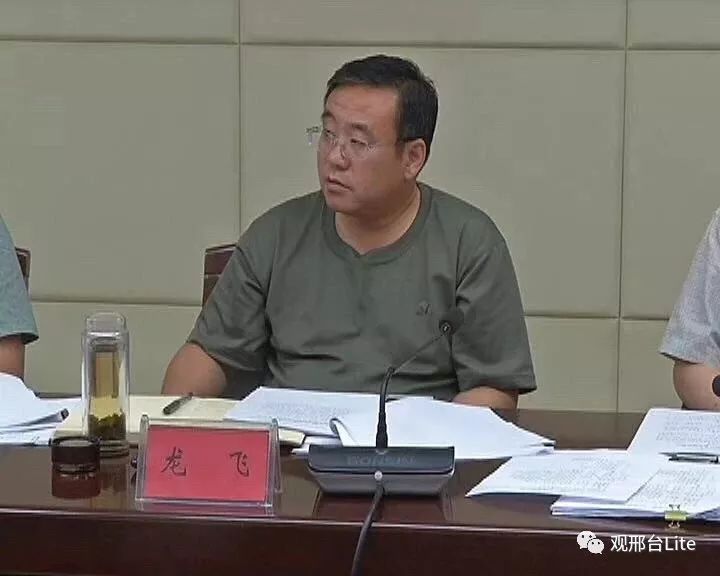 杨蕾同志任任县县委委员,常委,副书记,提名任县县长候选人;龙飞同志不