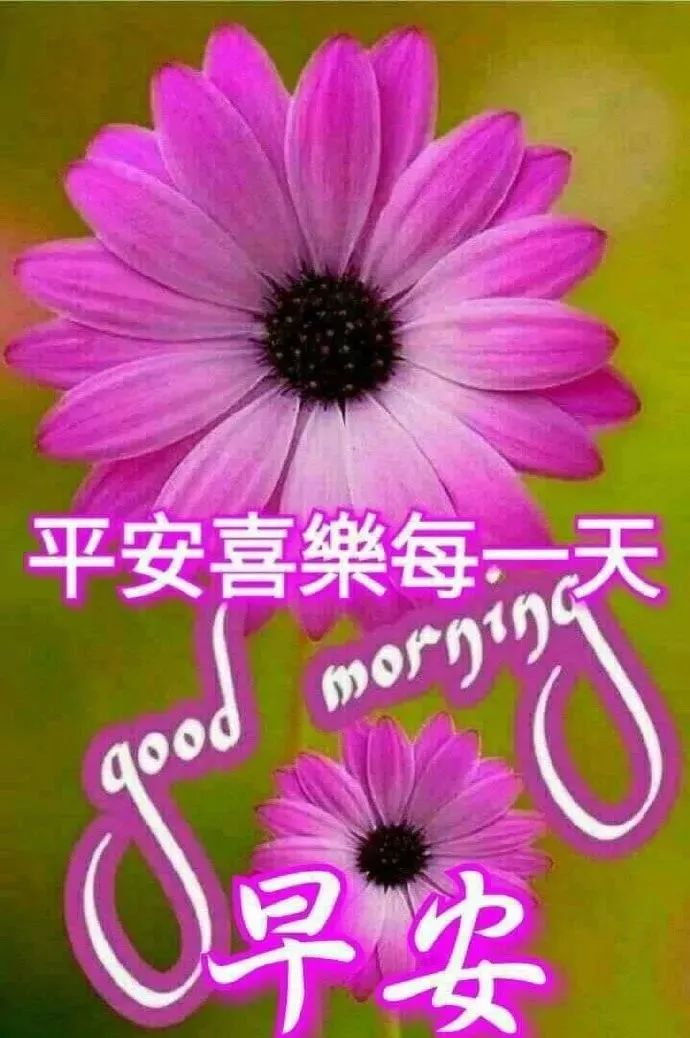 清晨问候朋友早上好的秋天暖心句子,天凉了的早安问候