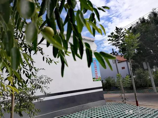 小王庄人口_沧州市小王庄地图(2)
