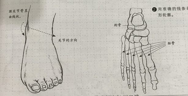 超详细的各种人物脚部结构画法!