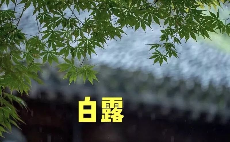 露从今夜白,月是故乡明.山居闲无事,日夕不问秋.观鱼乐,循幽径.