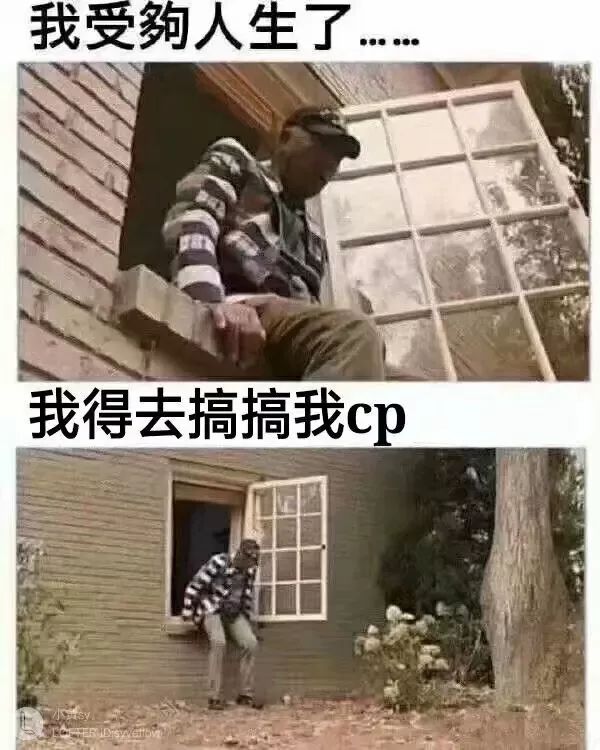 变态学教授无铭13哈哈哈哈哈哈哈哈哈哈柯基教孩子爬楼梯@文科班校花