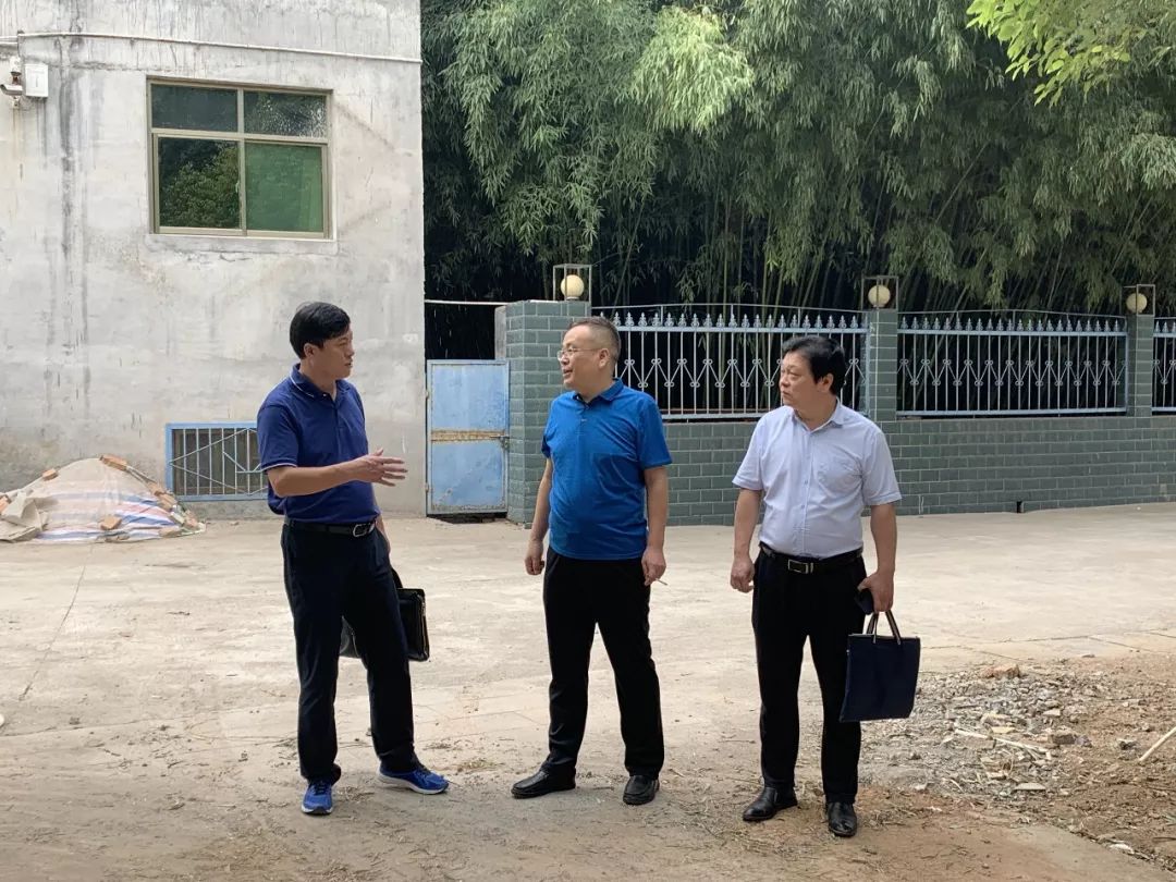 【要闻】上级领导到尹庄镇岳渡村检查督导工作_何宇辉