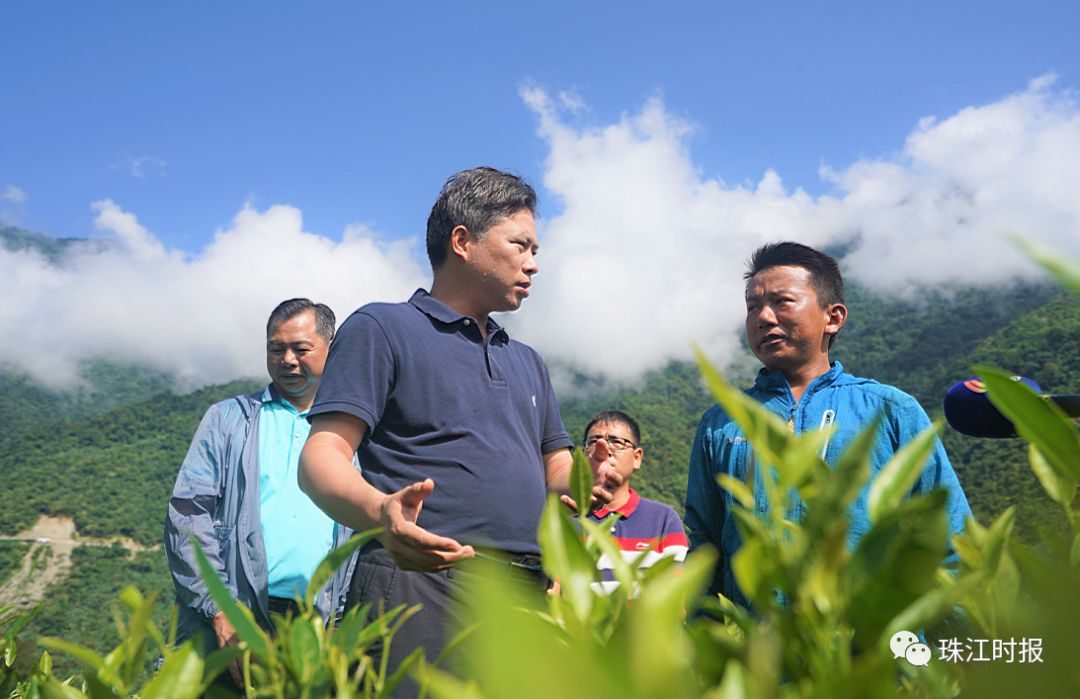 产业援藏授人以渔铺就致一条富路丨榜样的力量聚焦脱贫攻坚先进典型