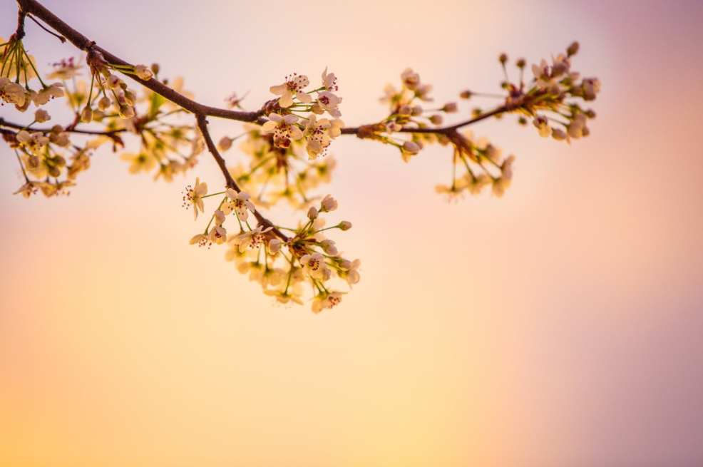 4b1b261cefa6495b835bb8ed6e4044b0.png
