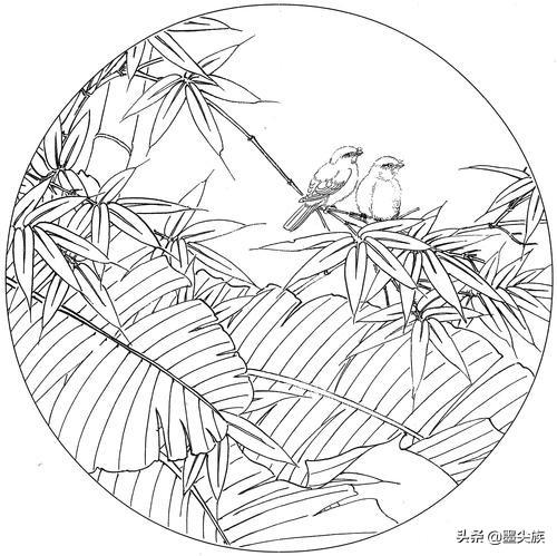 工笔素材竹子高清白描线稿图片41幅