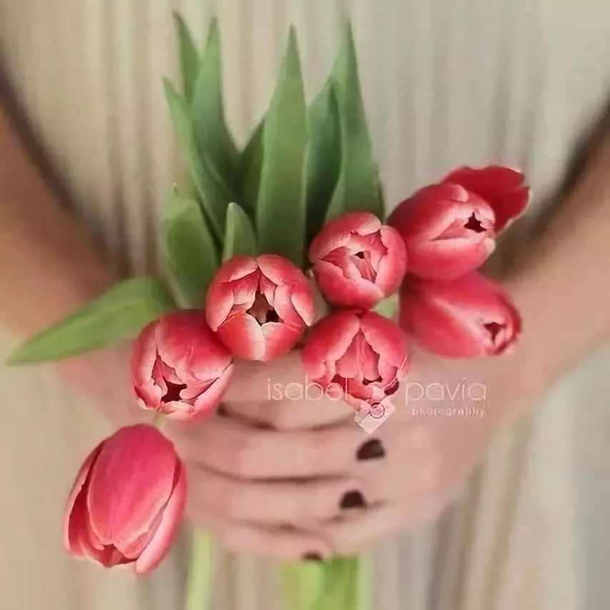 一首情歌对唱《红尘有爱》好听动情,愿天下有