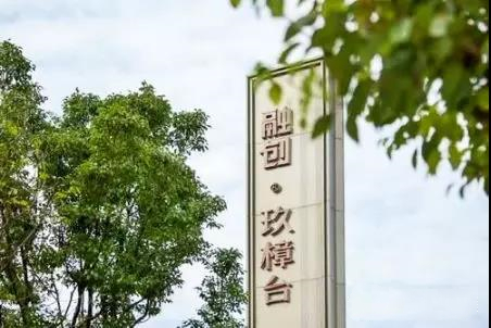 大湾区经济总量约多少万_粤港澳大湾区图片(2)